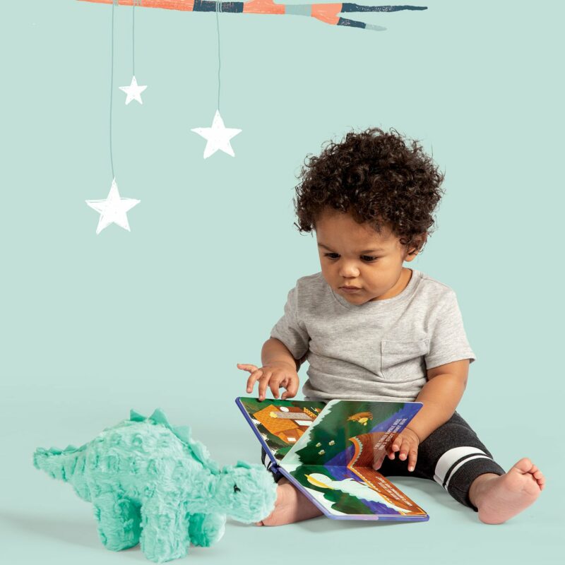 Sleepy Not Sleepy Nighttime book for babies