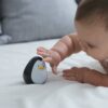 Wooden Sensory Penguin for Babies