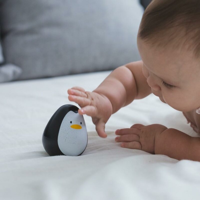 Wooden Sensory Penguin for Babies