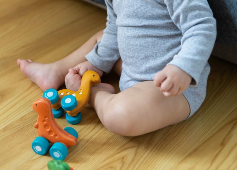 Diplo Trio Rex and Stego Wooden Dinosaur Cars