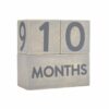 Milestone Blocks for Baby and Maternity Pictures