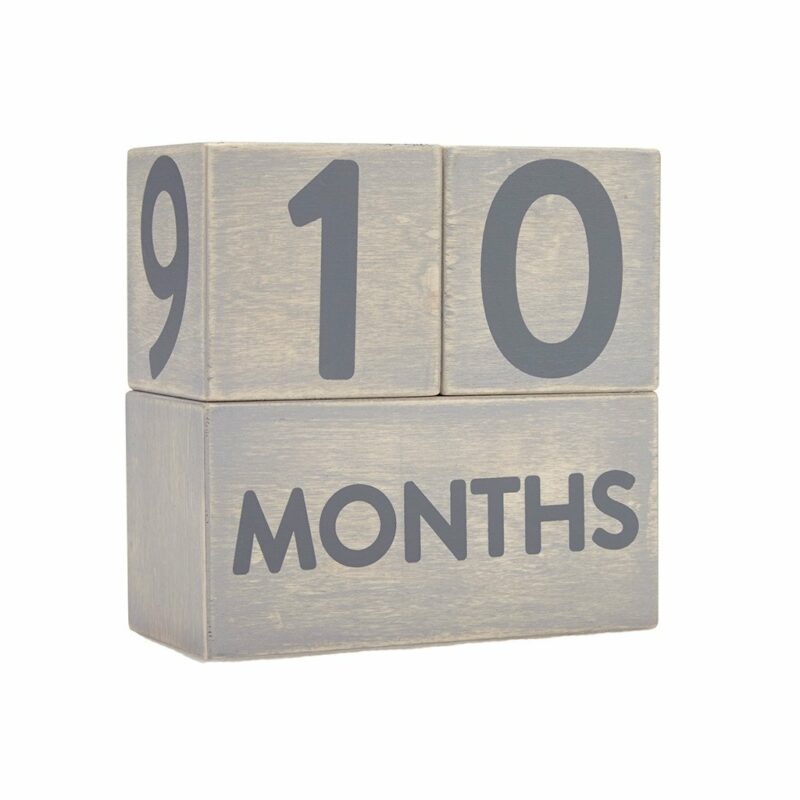 Milestone Blocks for Baby and Maternity Pictures
