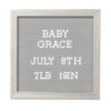 Letterboard Set for Baby Milestones and Pregnancy Announcements