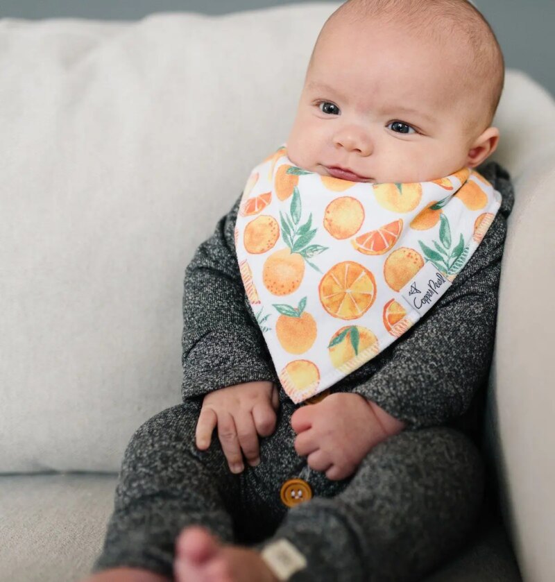 Baby Bibs by Copper Pearl Orange Pattern