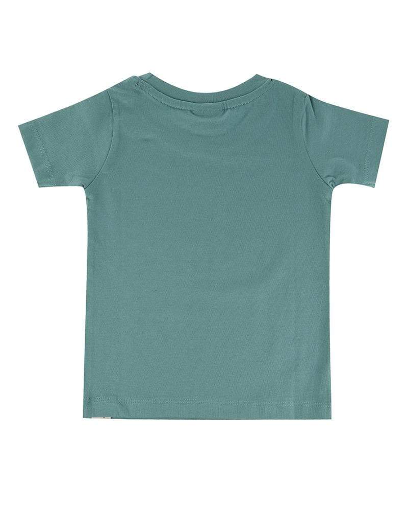 3 Pack Layering T-Shirts ( Stripe, Sage. Clay) by Turtledove London ...