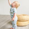 Short-Sleeved Bees Two-Piece Bamboo Pajama Set from Little Sleepies