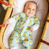 Little Sleepies Pineapples Bamboo Zippies