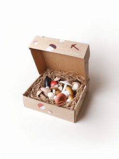 Forest Mushrooms in a Box