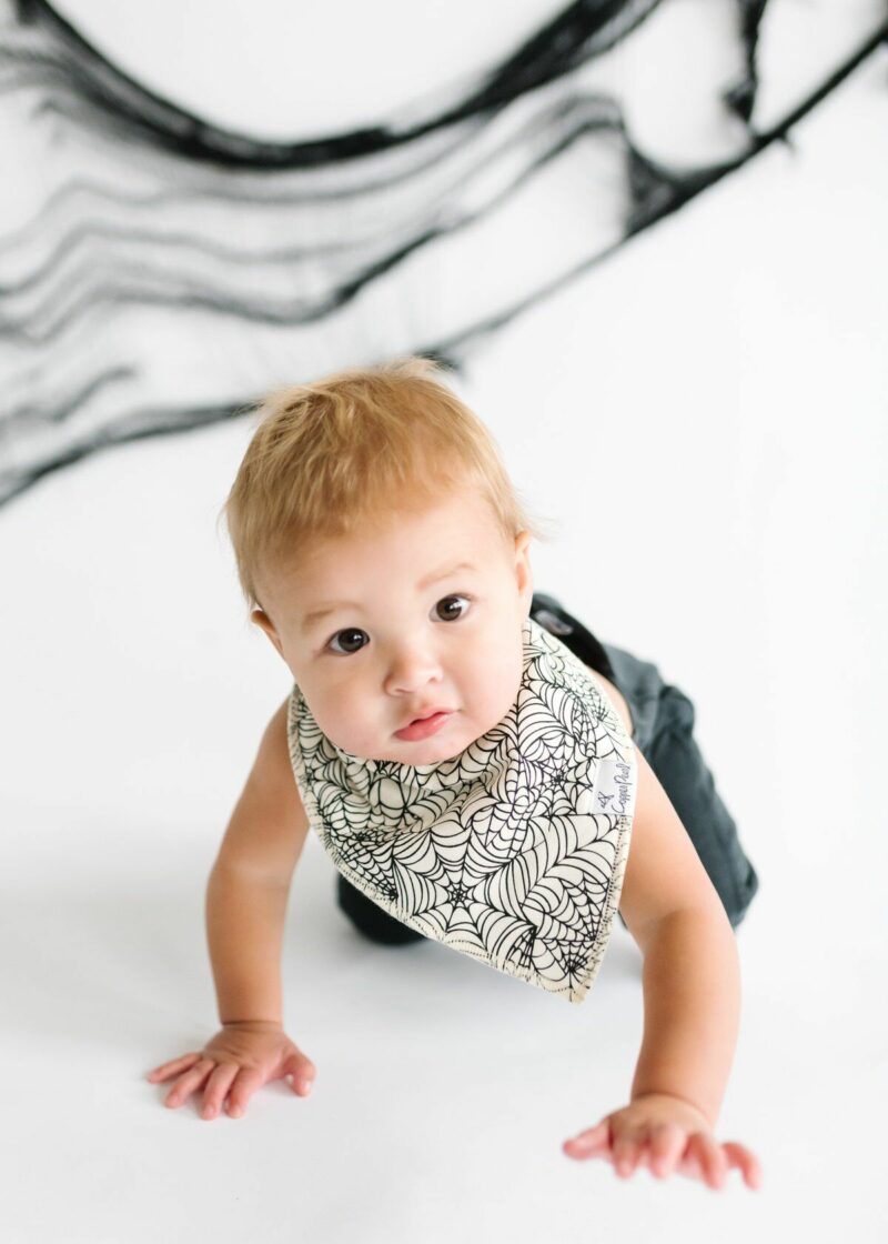 Halloween Spider Web Baby Bib by Copper Pearl