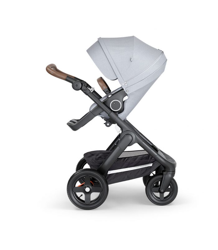 basic lightweight stroller with canopy