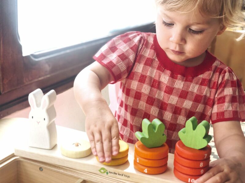 wooden counting toy for kids