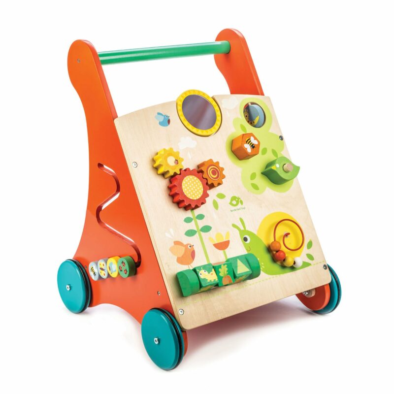 Baby Activity Walker from Tender Leaf Toys