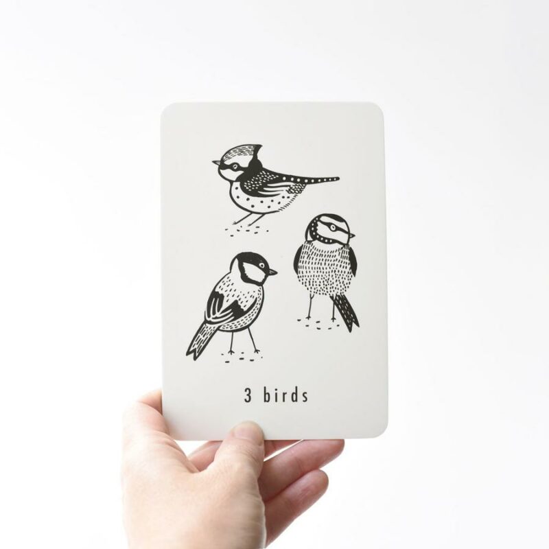 Wee Gallery Cards with Nature and Numbers