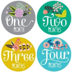 Lucy Darling Little Artist 12 Month Milestone Stickers