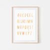 Gender Neutral Alphabet Print Available Exclusively at Blossom