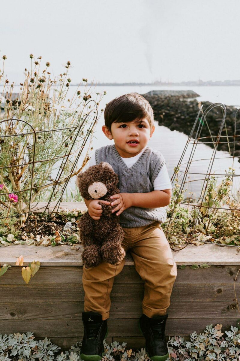 Bunnies By The Bay Cubby the Brown Bear