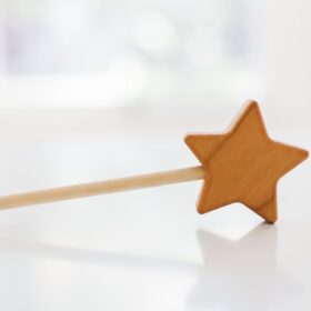 Bannor Toys Star Wooden Magic Wand