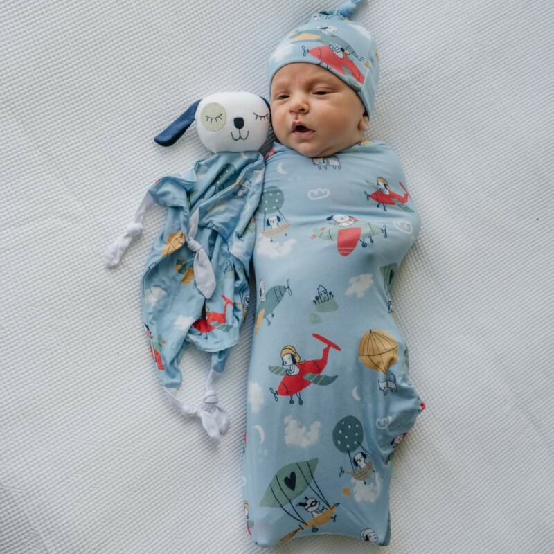 Little Sleepies Fly Away With Me Bamboo Swaddle & Hat Set