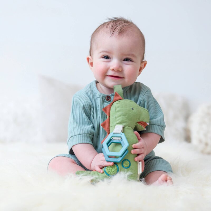 Itzy Ritzy Dino Activity Plush with Teether Toy