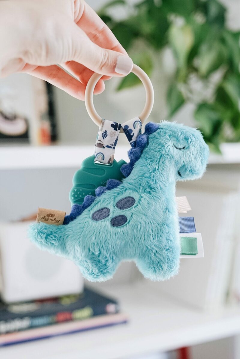 Itzy Ritzy Dino Itzy Pal Plush + Teether