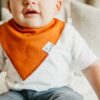 Copper Pearl Blaze Baby Bandana Bib Set 4-Pack