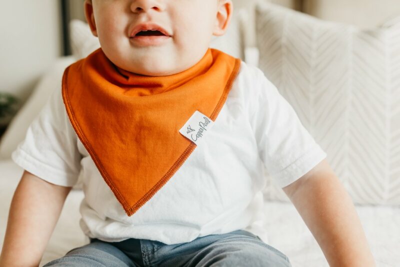 Copper Pearl Blaze Baby Bandana Bib Set 4-Pack