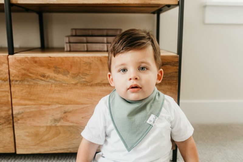 Copper Pearl Blaze Baby Bandana Bib Set 4-Pack