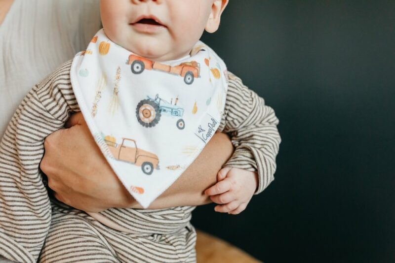 Copper Pearl Trick Baby Bandana Bib Set 4-Pack