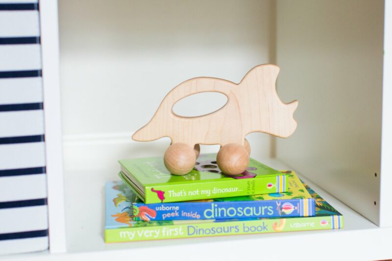 Bannor Toys Dino Wooden Push Toy