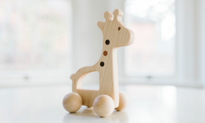 Bannor Toys Giraffe Wooden Push Toy