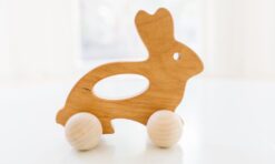Bannor Toys Bunny Wooden Push Toy