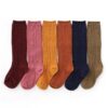 Little Stocking Co Favorites Cable Knit Knee High Socks Bundle