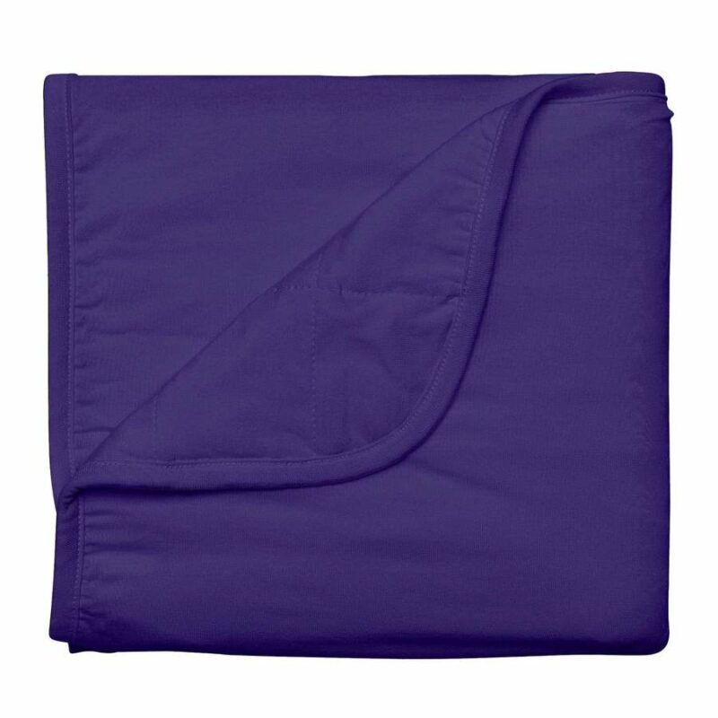 Kyte BABY Baby Blanket in Eggplant