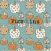 Kozi & Co Pumpkins Bamboo Pajama Set