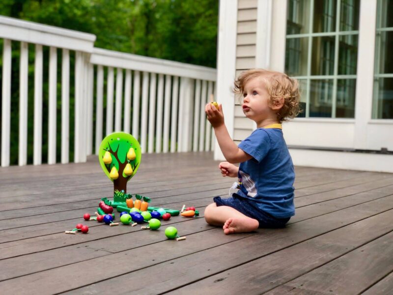 Poppy Baby Co Wooden Tree and Garden Set with Fruits and Veggies