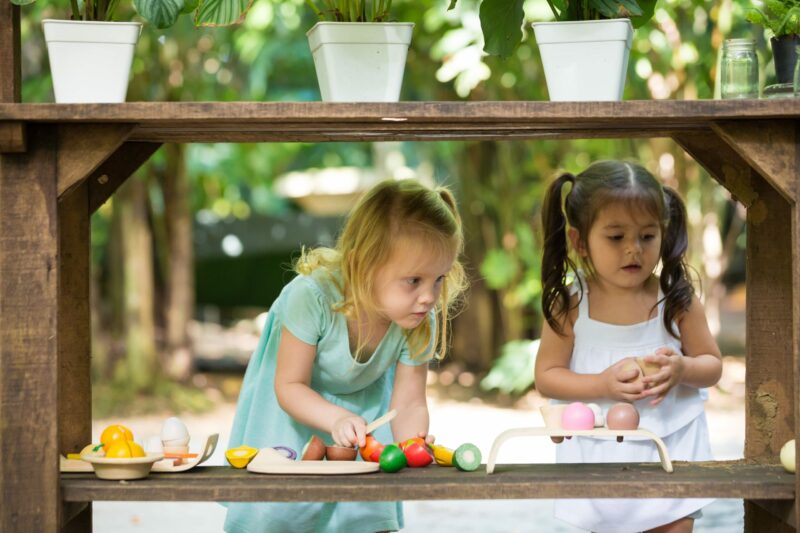 PlanToys Assorted Fruits and Vegetables with Tray