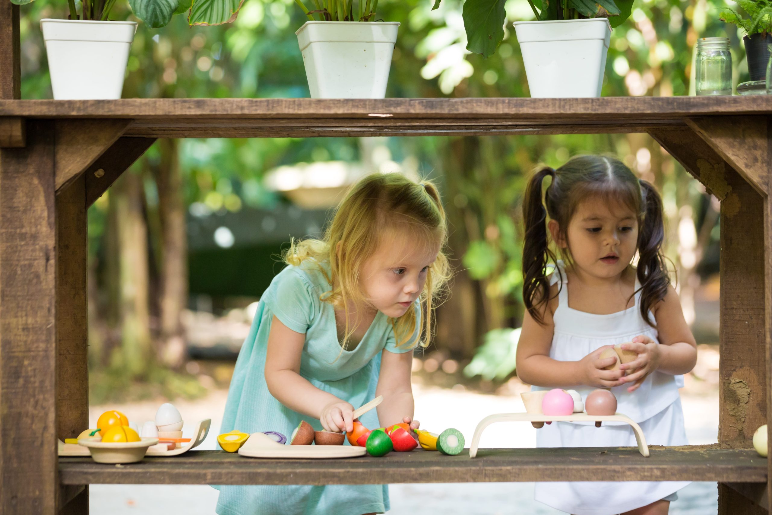 Assorted Fruits and Vegetables with Tray from PlanToys