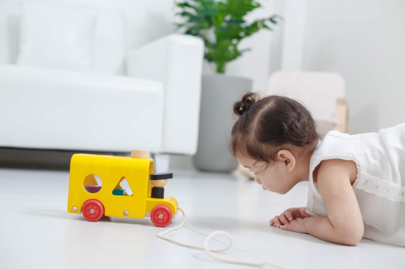 PlanToys Sorting Bus Wooden Shape Sorter