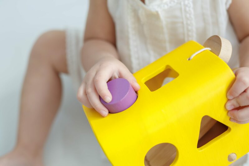 PlanToys Sorting Bus Wooden Shape Sorter