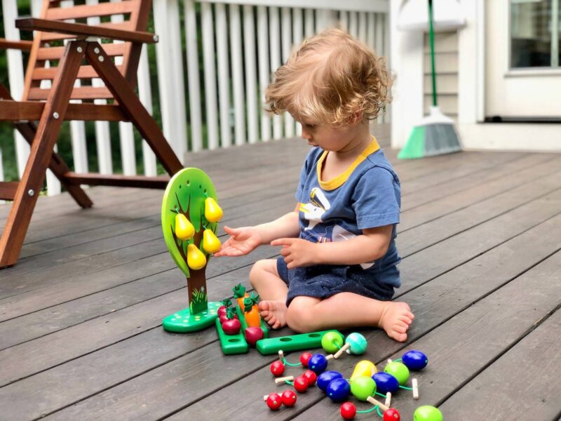 Poppy Baby Co Wooden Tree and Garden Set with Fruits and Veggies