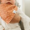 Copper Pearl Atwood Baby Bandana Bib Set 4-Pack