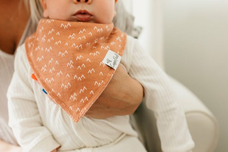 Copper Pearl Atwood Baby Bandana Bib Set 4-Pack