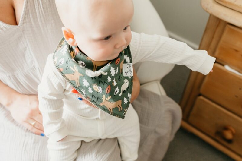 Copper Pearl Atwood Baby Bandana Bib Set 4-Pack