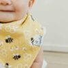 Copper Pearl Atwood Baby Bandana Bib Set 4-Pack