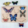 Bajo World of Butterflies Wooden Puzzle and Stacking Toy