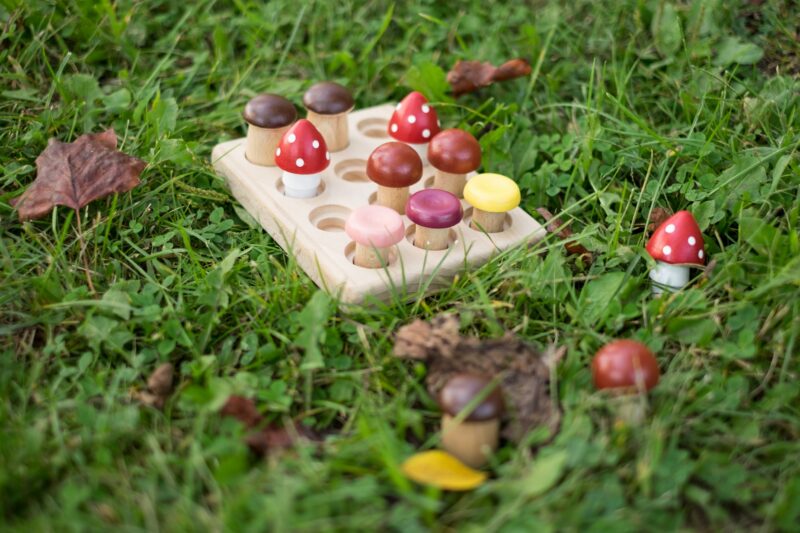 Poppy Baby Co Wooden Mushrooms on Wooden Tray
