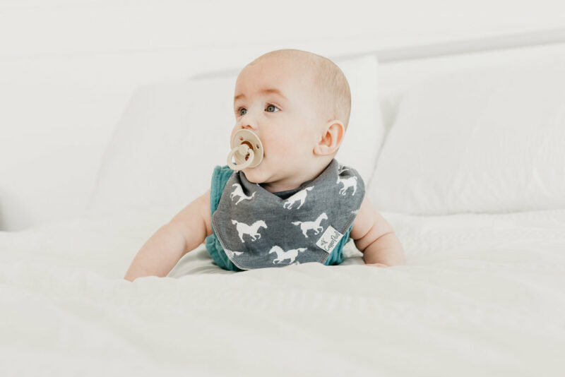 Copper Pearl Westyn Bandana Bib Set 4-Pack