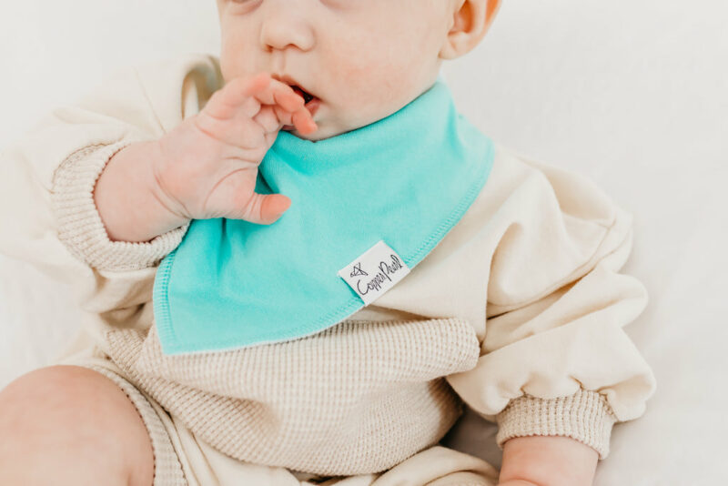 Copper Pearl Westyn Bandana Bib Set 4-Pack