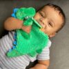 Itzy Ritzy Dino Plush Itzy Lovey Plush with Silicone Teether Toy