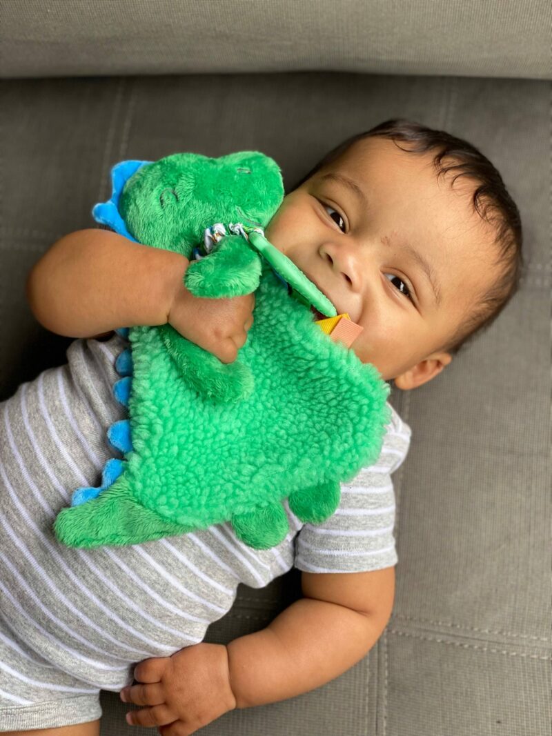 Itzy Ritzy Dino Plush Itzy Lovey Plush with Silicone Teether Toy